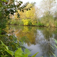 Гостиничный комплекс Стародонье, Константиновский район, Ростовская область