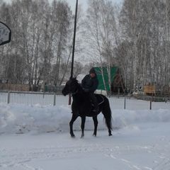 База отдыха Вестфалика, Ордынский район, Новосибирская область