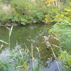 Гостиничный комплекс Стародонье, Константиновский район, Ростовская область