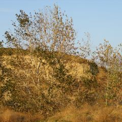 Гостиничный комплекс Стародонье, Константиновский район, Ростовская область