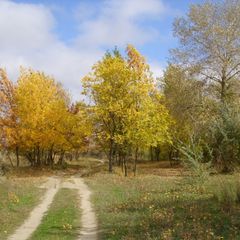Гостиничный комплекс Стародонье, Константиновский район, Ростовская область