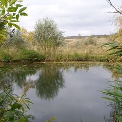 Гостиничный комплекс Стародонье, Константиновский район, Ростовская область