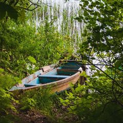 Городок отдыха Лесная дача, Удомельский район, Тверская область