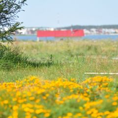 База отдыха Боярская Станица, Сосновский район, Челябинская область