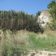 Гостиничный комплекс Стародонье, Константиновский район, Ростовская область