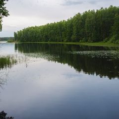 Городок отдыха Лесная дача, Удомельский район, Тверская область