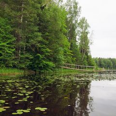 Городок отдыха Лесная дача, Удомельский район, Тверская область