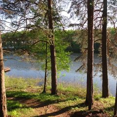 Городок отдыха Лесная дача, Удомельский район, Тверская область