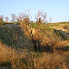 Гостиничный комплекс Стародонье, Константиновский район, Ростовская область