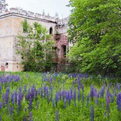 Городок отдыха Лесная дача, Удомельский район, Тверская область
