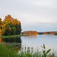 Городок отдыха Лесная дача, Удомельский район, Тверская область