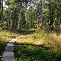 Загородный комплекс Ясная поляна, Арзамасский район, Нижегородская область