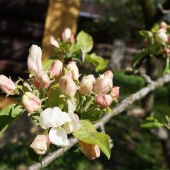 Агротуристический комплекс Агронавт, Старицкий район, Тверская область