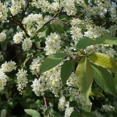 Агротуристический комплекс Агронавт, Старицкий район, Тверская область