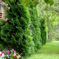 База отдыха Лагуна, Саратовский район, Саратовская область