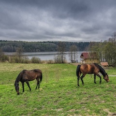 База отдыха Домино, Выборгский район, Ленинградская область