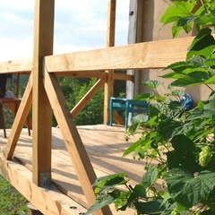 Гостевой дом Трава-Мурава, Воронежская область