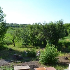 Гостевой дом Трава-Мурава, Воронежская область