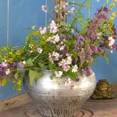 Гостевой дом Трава-Мурава, Воронежская область