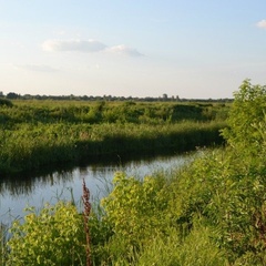 Гостевой дом Трава-Мурава, Воронежская область