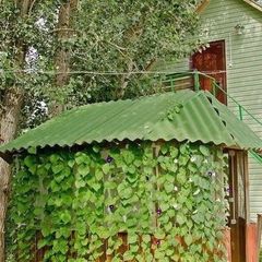 Туристическая база Рыбный край, Харабалинский район, Астраханская область