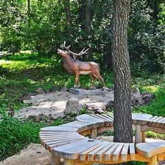 Парк отдыха Штыковские пруды, Шкотовский район, Приморский край