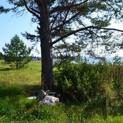 База отдыха Ниска, Лоухский район, Республика Карелия