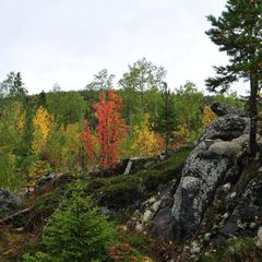 База отдыха Ниска, Лоухский район, Республика Карелия