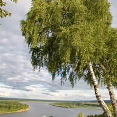 База отдыха Мещерский городец, Касимовский район, Рязанская область