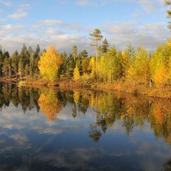 База отдыха Ниска, Лоухский район, Республика Карелия