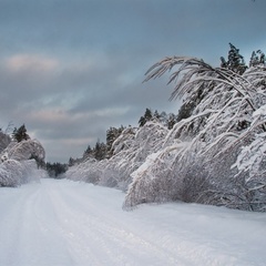 База отдыха Мещерский городец, Касимовский район, Рязанская область