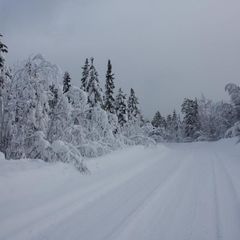 База отдыха Ниска, Лоухский район, Республика Карелия