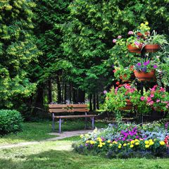 Оздоровительный комплекс Снегири, Истринский район, Московская область