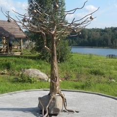 База отдыха Проховское подворье, Вышневолоцкий район, Тверская область