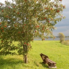 База отдыха Проховское подворье, Вышневолоцкий район, Тверская область