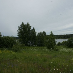 Гостевой дом На Волге, Угличский район, Ярославская область