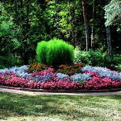 Оздоровительный комплекс Снегири, Истринский район, Московская область