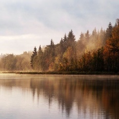 База отдыха Проховское подворье, Вышневолоцкий район, Тверская область