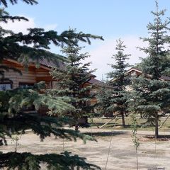 Рыболовная база Семь Островов, Икрянинский район, Астраханская область