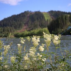 Горнолыжный курорт Горная Саланга, Тисульский район, Кемеровская область