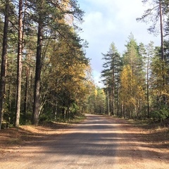 База отдыха Орехово, Приозерский район, Ленинградская область