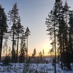 База отдыха Орехово, Приозерский район, Ленинградская область