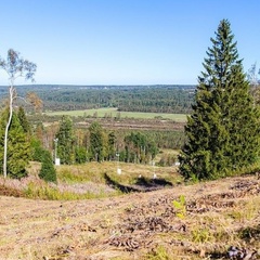 База отдыха Коробок-Хуторок, Приозерский район, Ленинградская область
