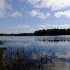 Коттеджный комплекс Марково, Вашкинский район, Вологодская область