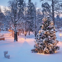 Загородный комплекс Усадьба Марьино, Тосненский район, Ленинградская область
