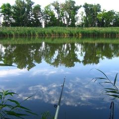 База отдыха Селигерская пасека, Осташковский район, Тверская область