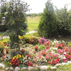 База отдыха Барские забавы, Рыбновский район, Рязанская область