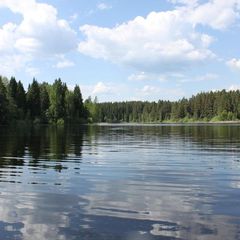База отдыха Селигерская пасека, Осташковский район, Тверская область