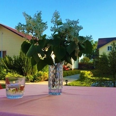 Рыболовная усадьба Луидор, Весьегонский район, Тверская область