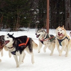 Загородный комплекс Чукавино, Старицкий район, Тверская область
